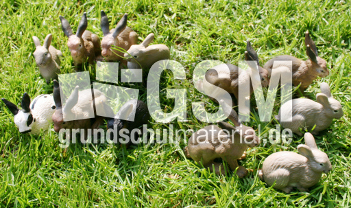 Kaninchen-12-5.jpg